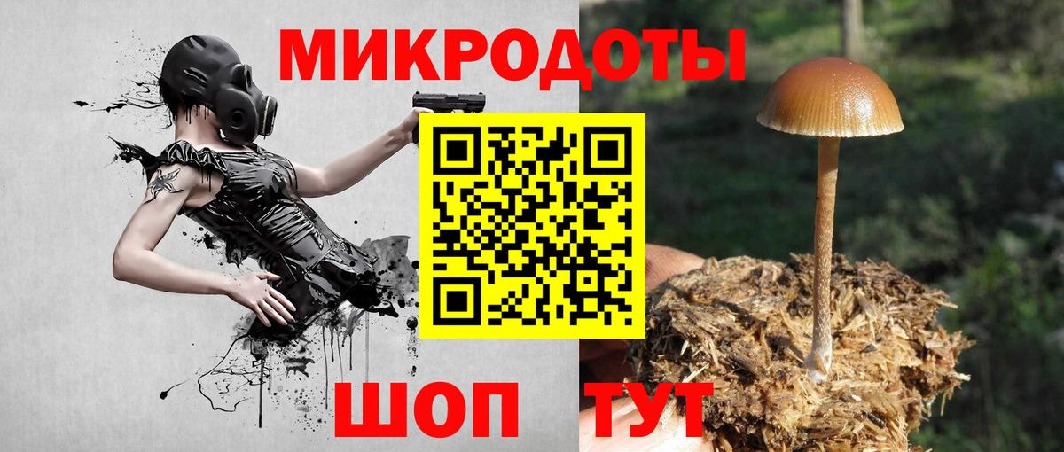 Дивногорск  Галлюциногенные грибы мицелий  Вход с VPN 